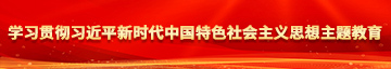 日本小视频大鸡巴肏屄学习贯彻习近平新时代中国特色社会主义思想主题教育